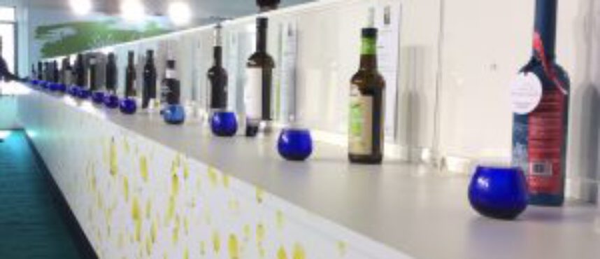 «Andalucía Sabor 2019». Lo que el aove no ve.