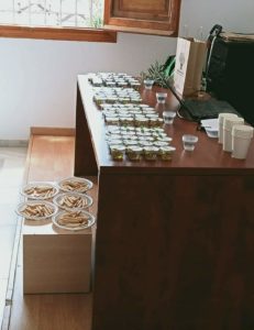 Jornadas formativas - Cata Dando la Vara