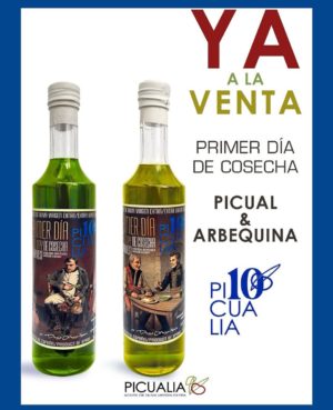 Picualia Primer día de cosecha