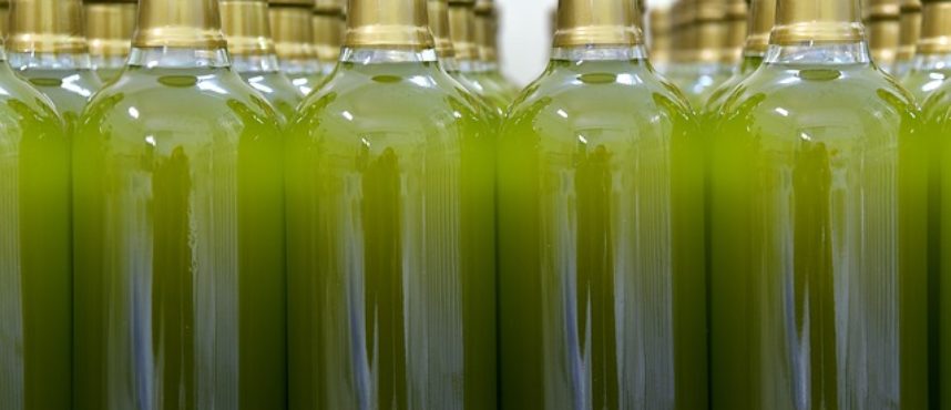 Óleo paranoias de enero 2019. «Nieve en la botella de AOVE»