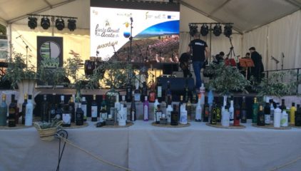 Crónica «Fiesta Anual del primer Aceite de Jaén»